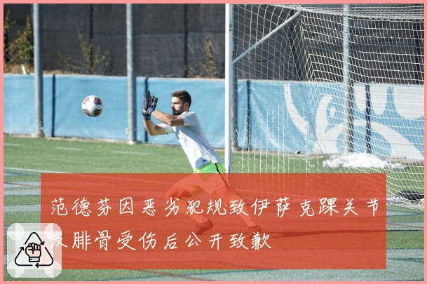 范德芬因恶劣犯规致伊萨克踝关节及腓骨受伤后公开致歉